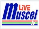 Muscel TV Live televiziune live Televiziune live din Romania musceltv